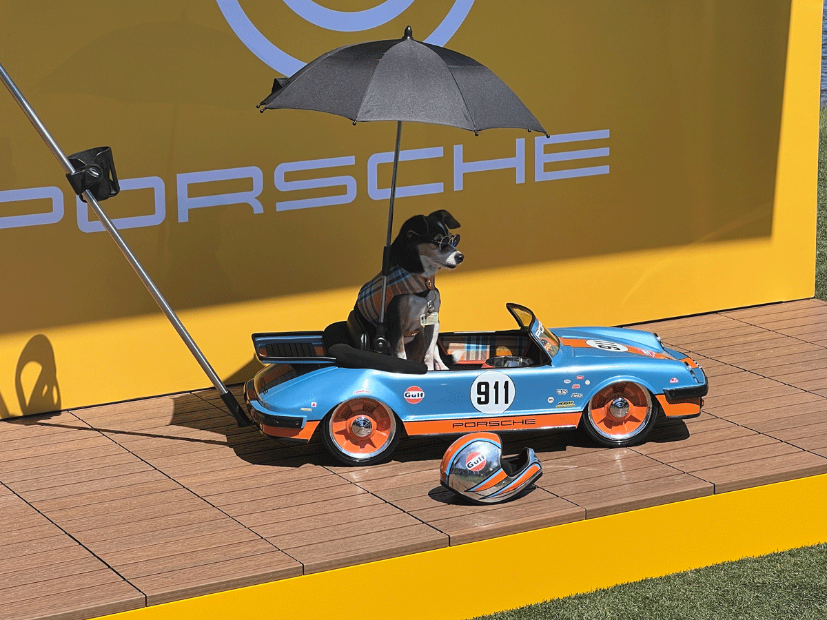 WERKS3.gif