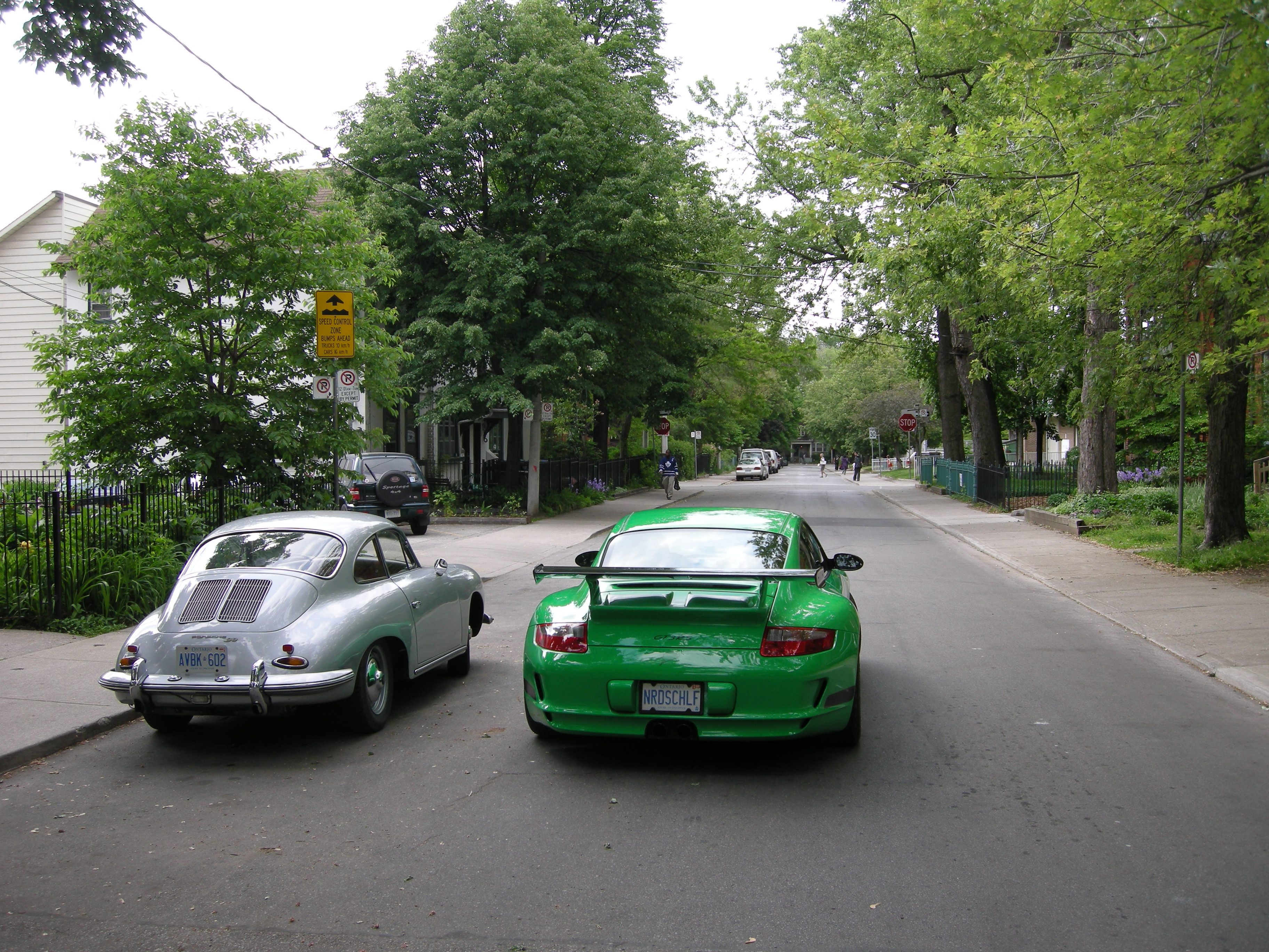 DSCN3176.JPG