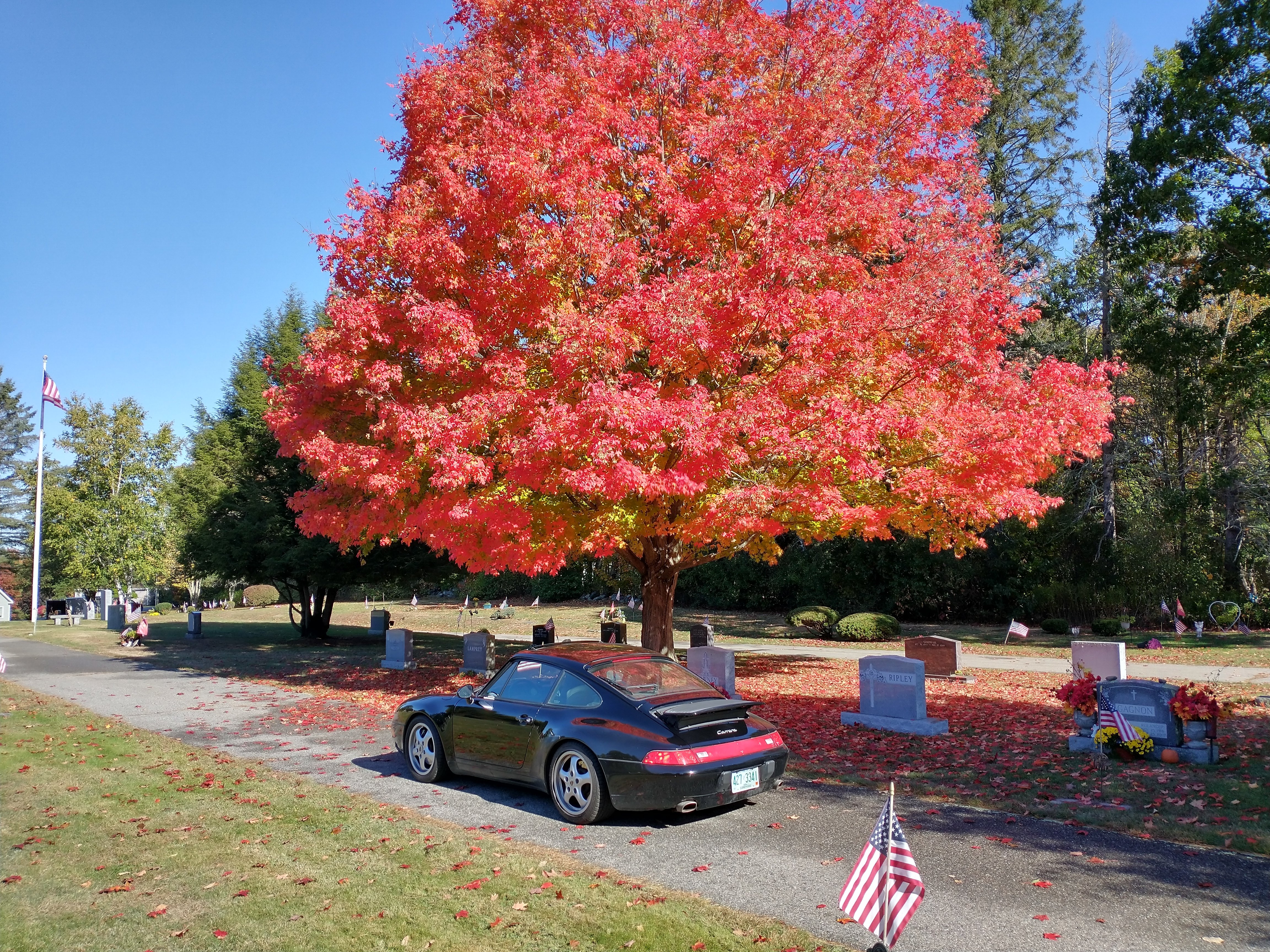 IMG_20201014_103742353_HDR.jpg