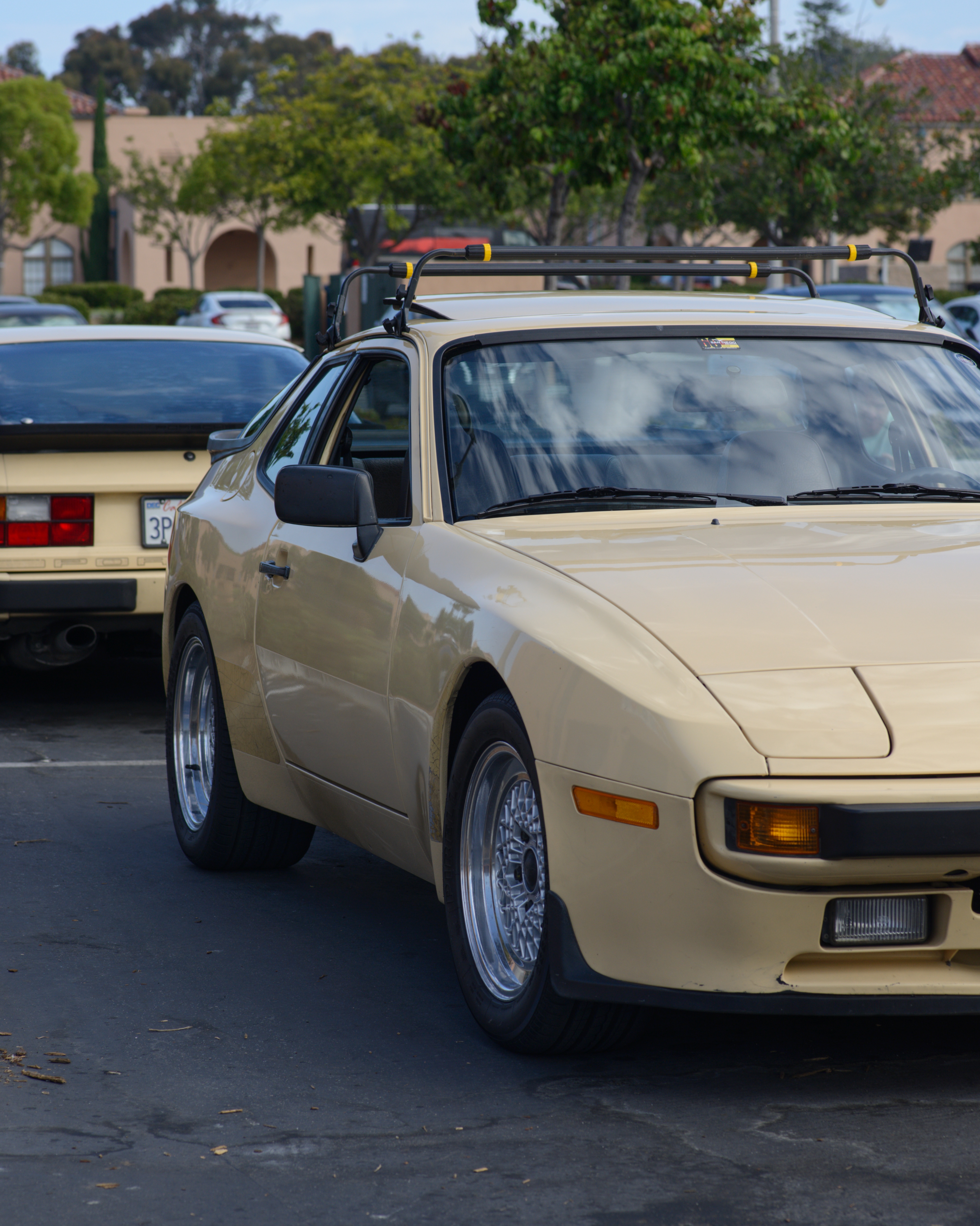 DSC_5163-01.jpeg