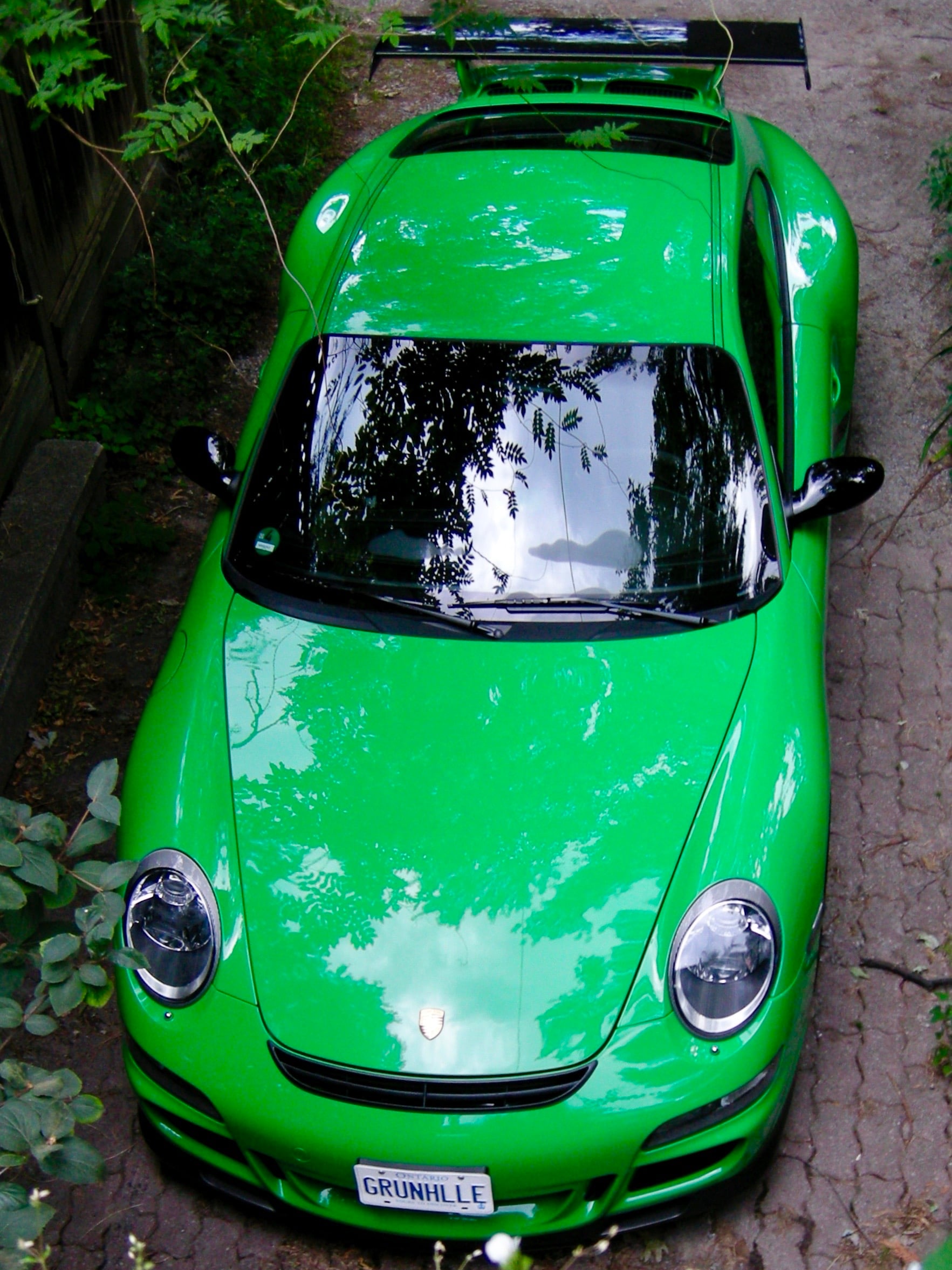 DSCN4634.JPG
