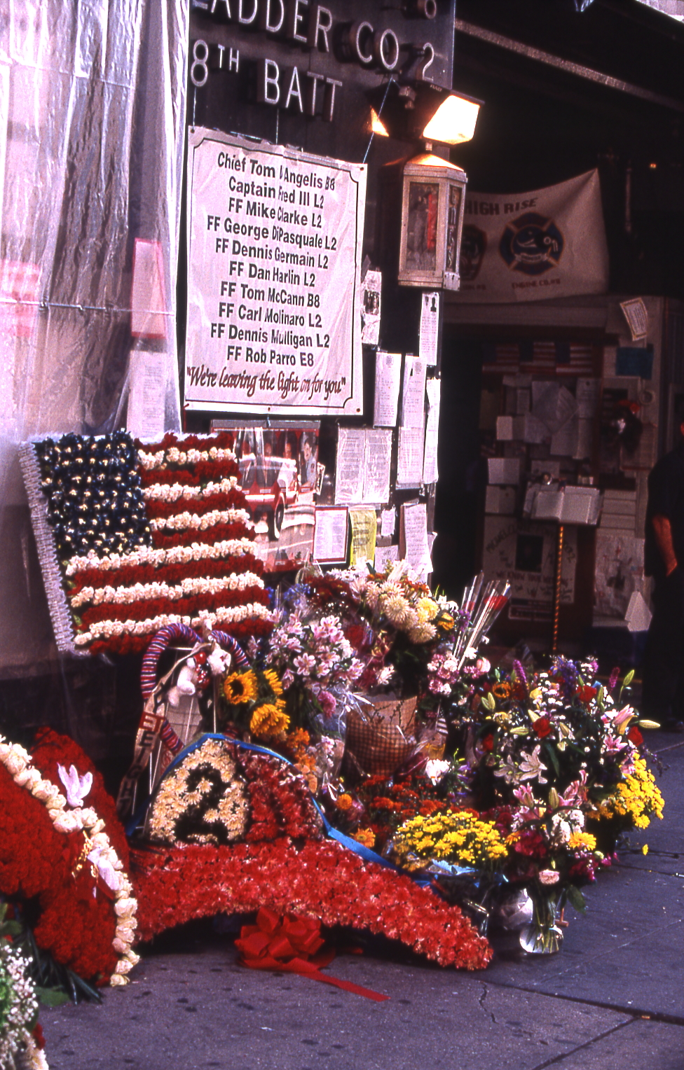 File0481.jpg