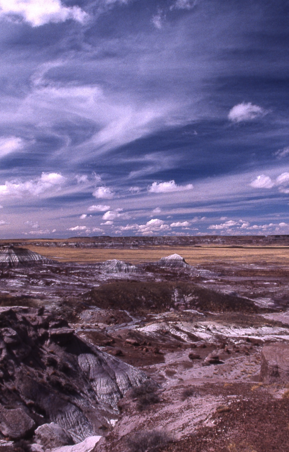 File0629.jpg