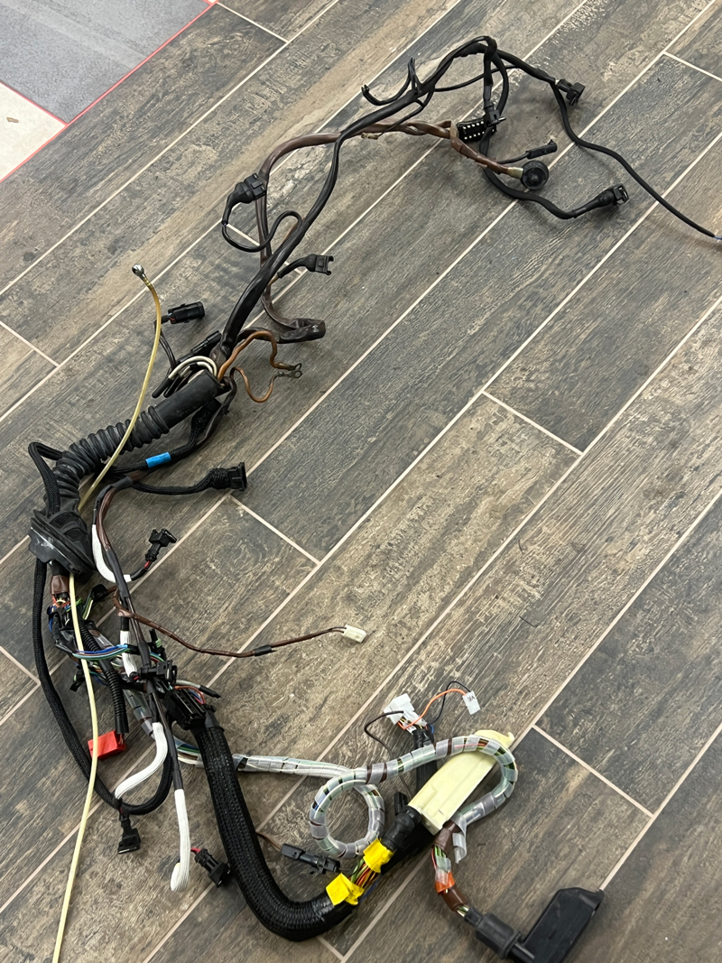 rats-nest.jpg