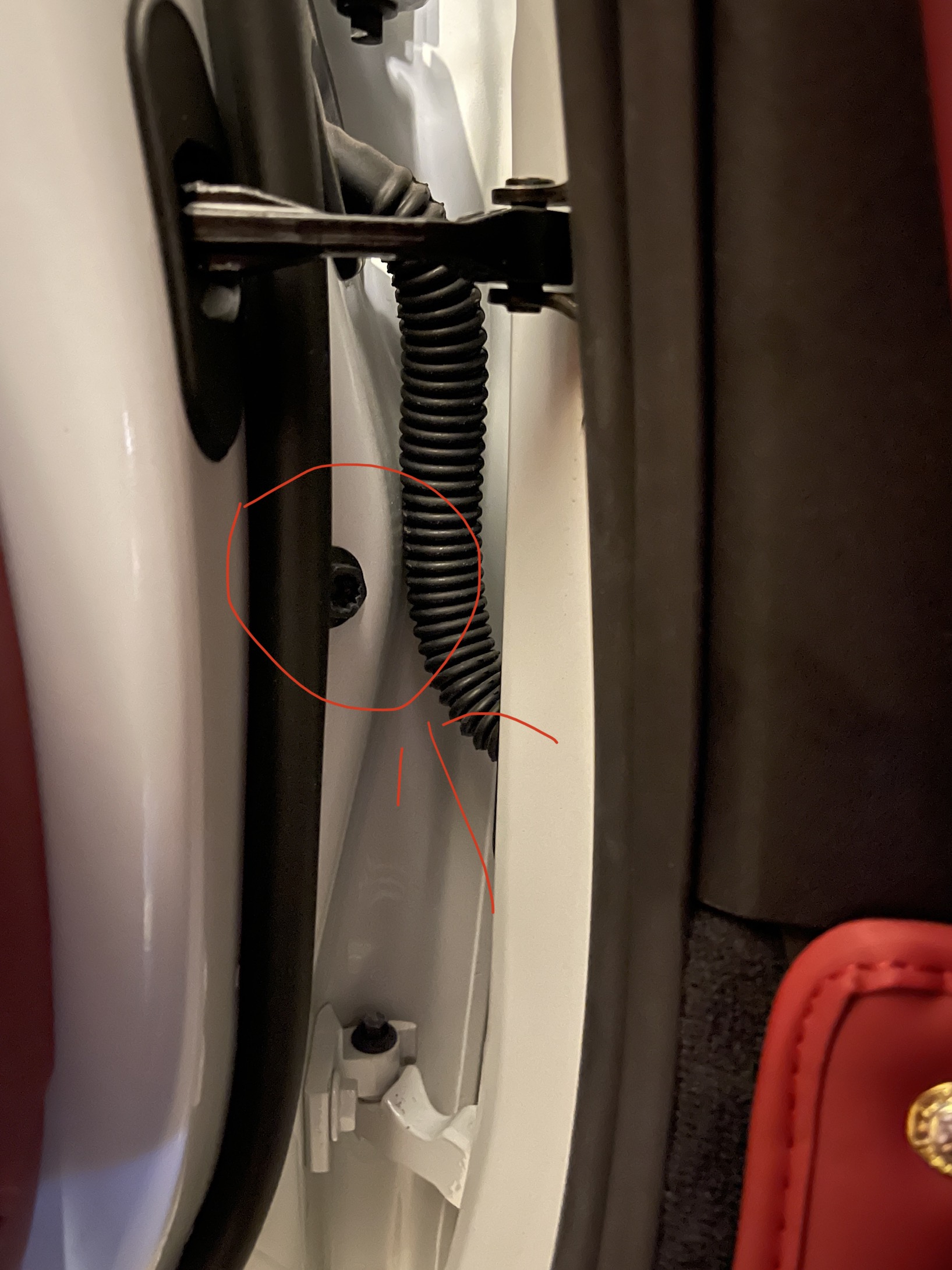 74374634-CA6D-4531-8398-84AA0CF35C80.jpeg