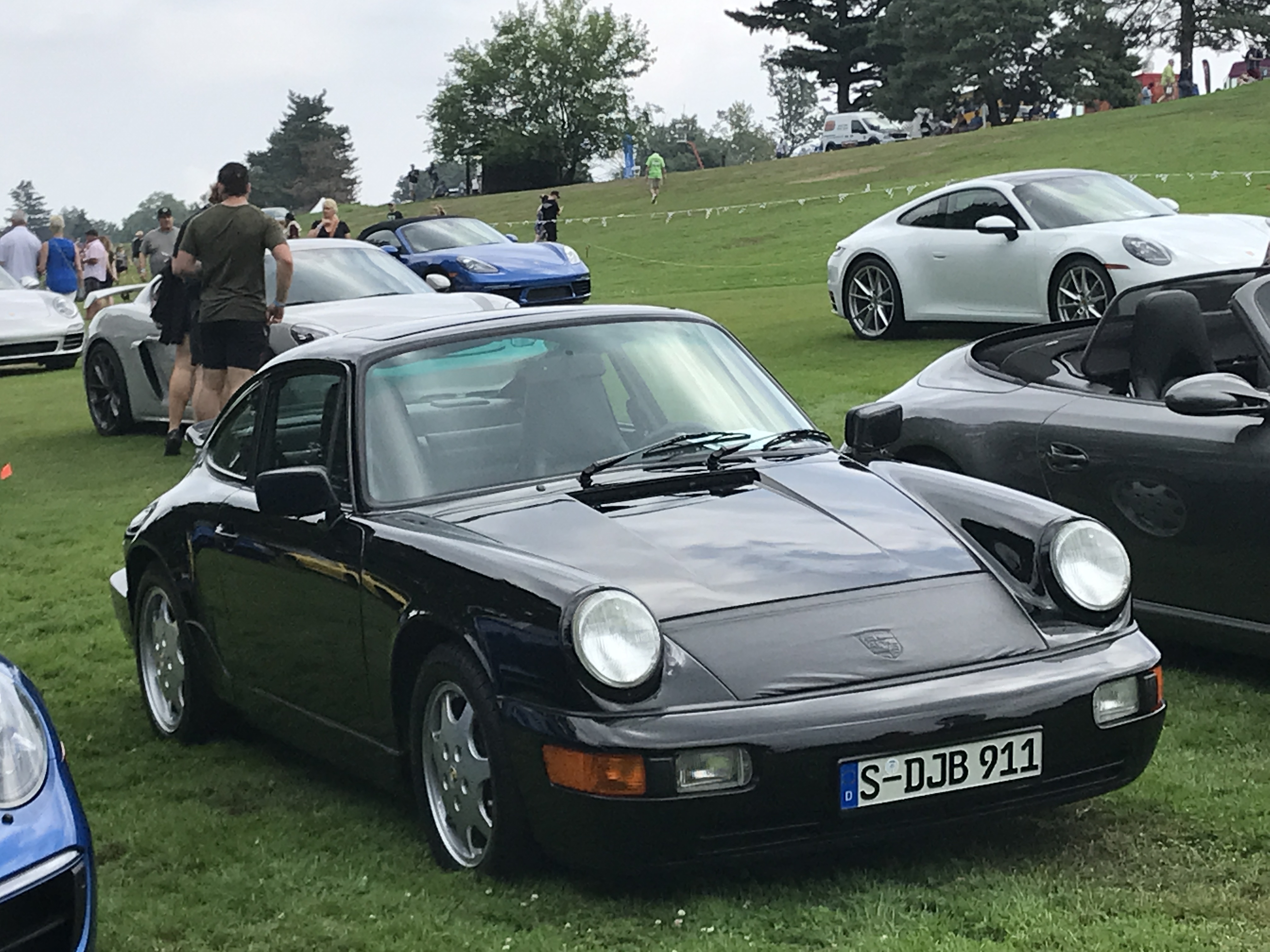 PVGP