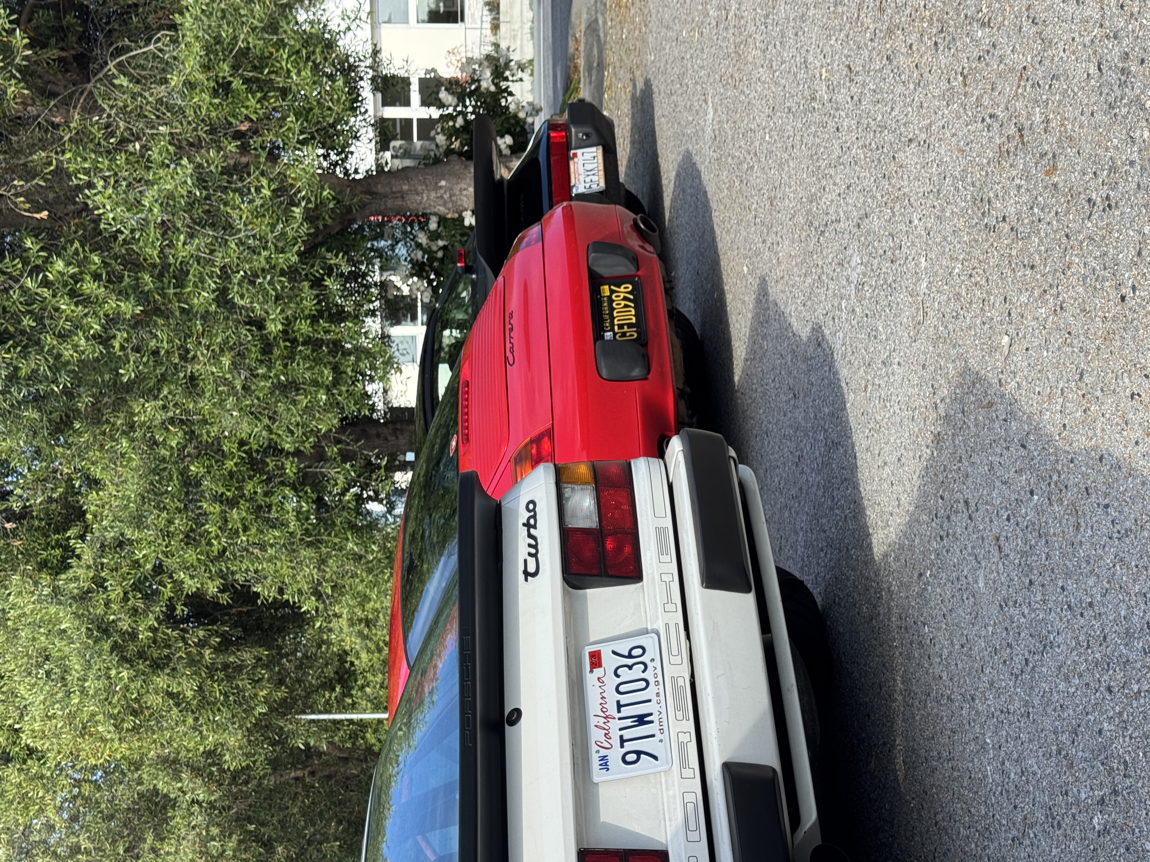 IMG_2628.jpeg