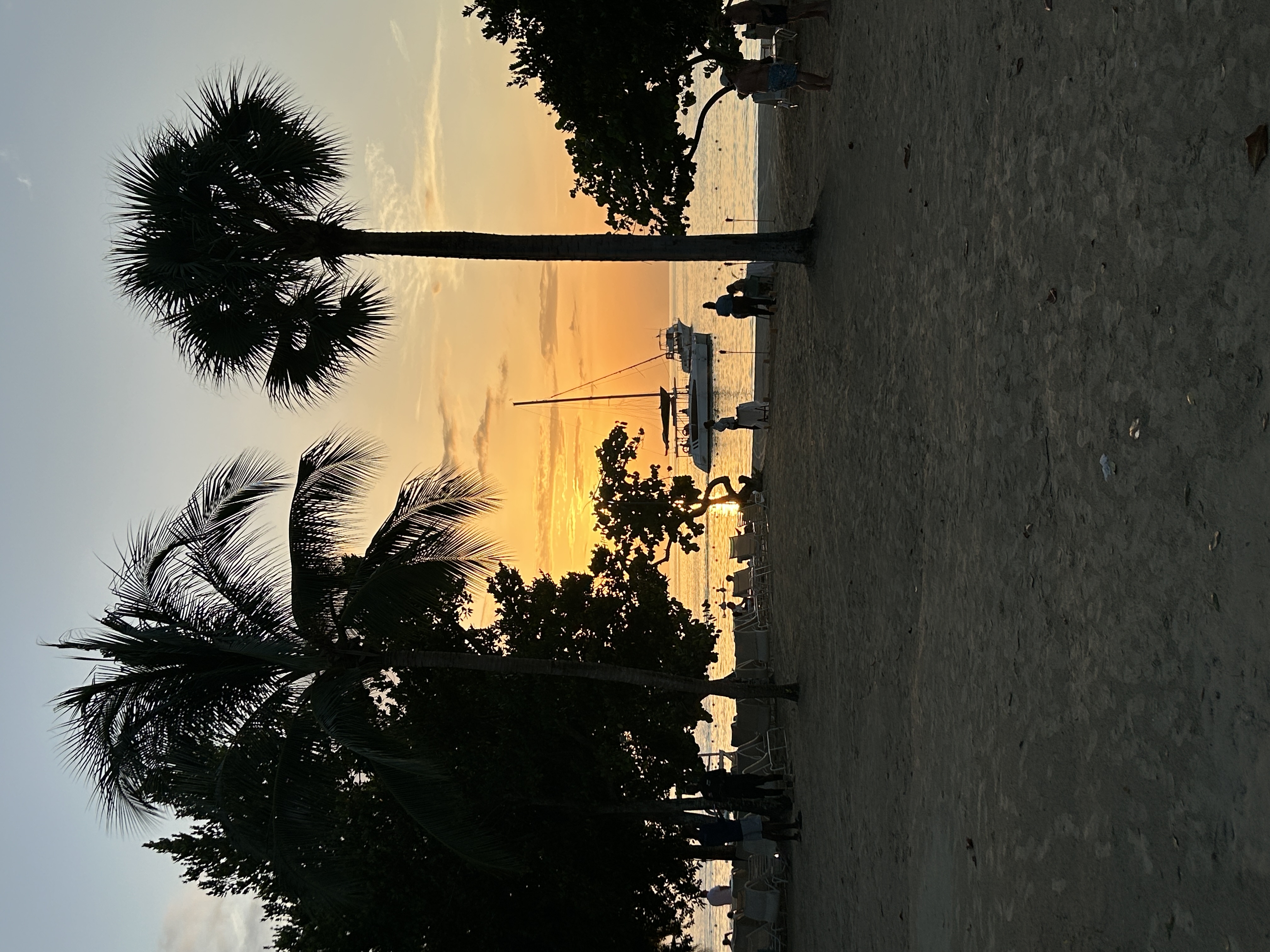 IMG_5426.jpeg