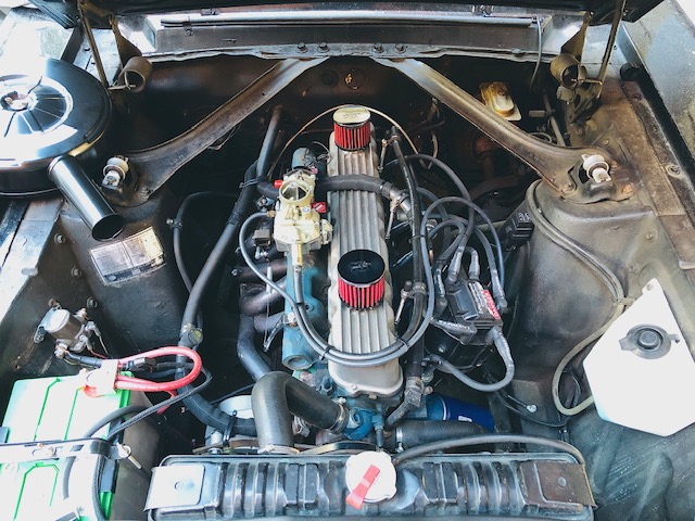 mustang_2.jpg
