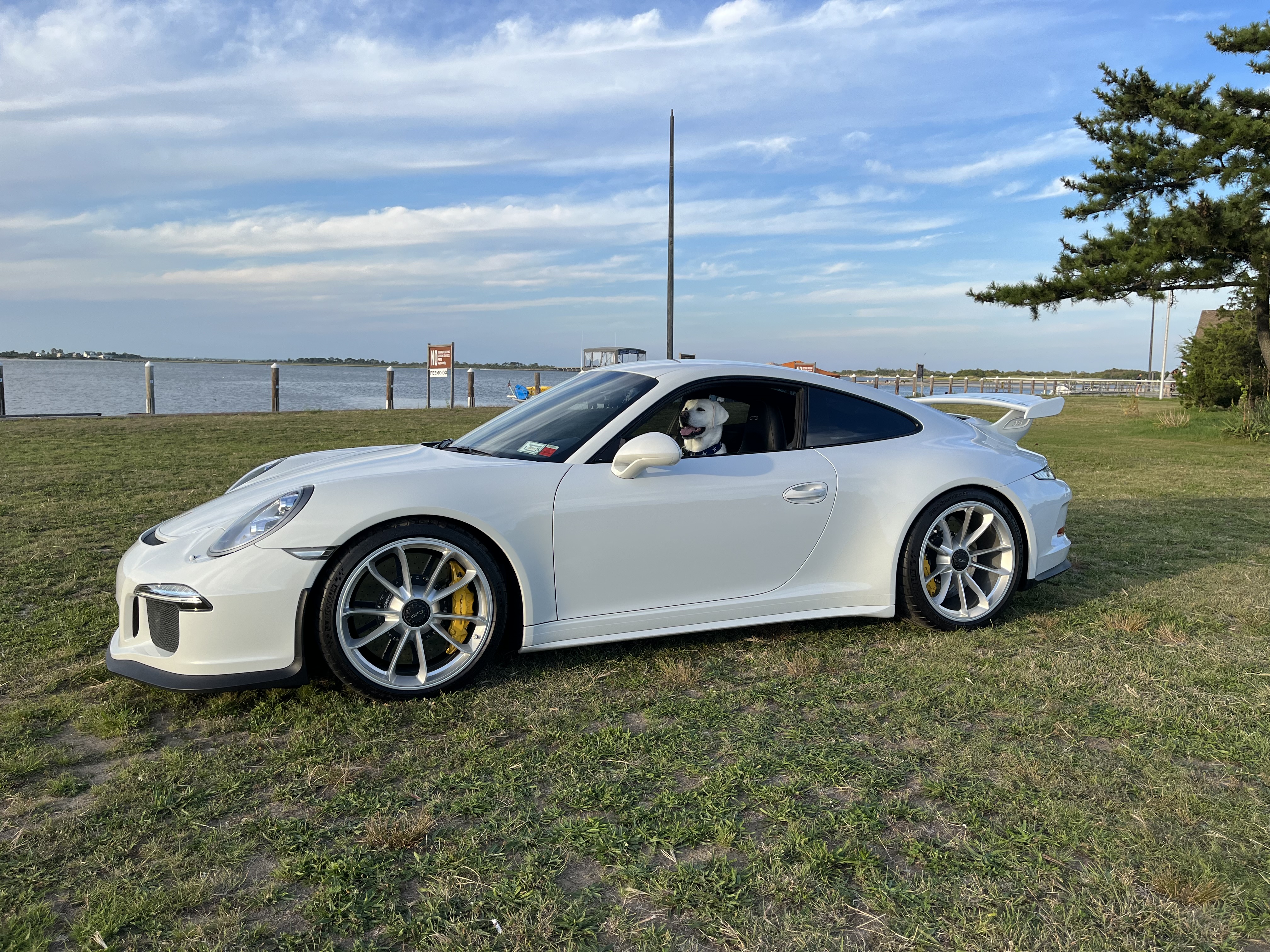 My lab and GT3