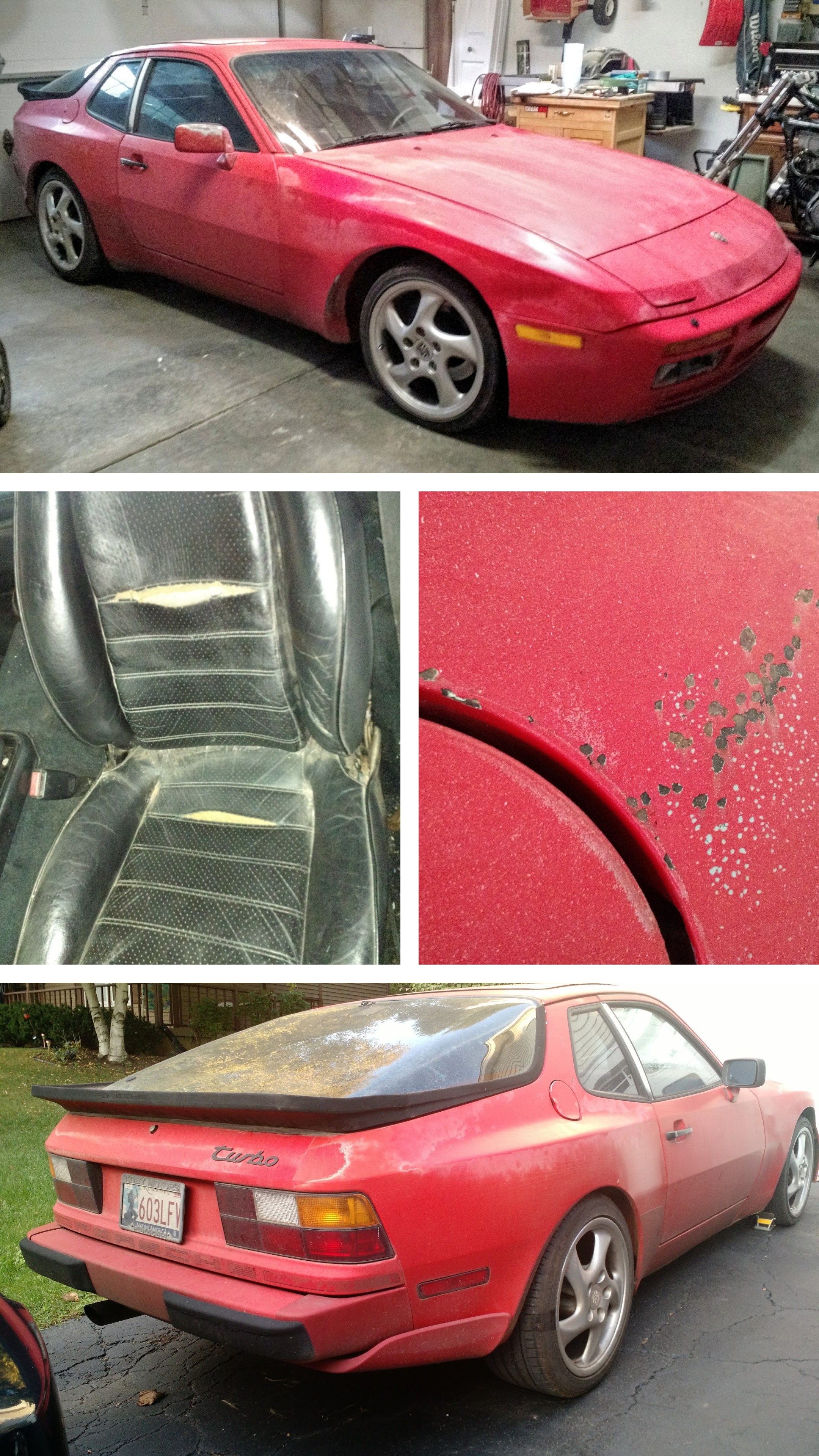 20241206_064940-COLLAGE.jpg
