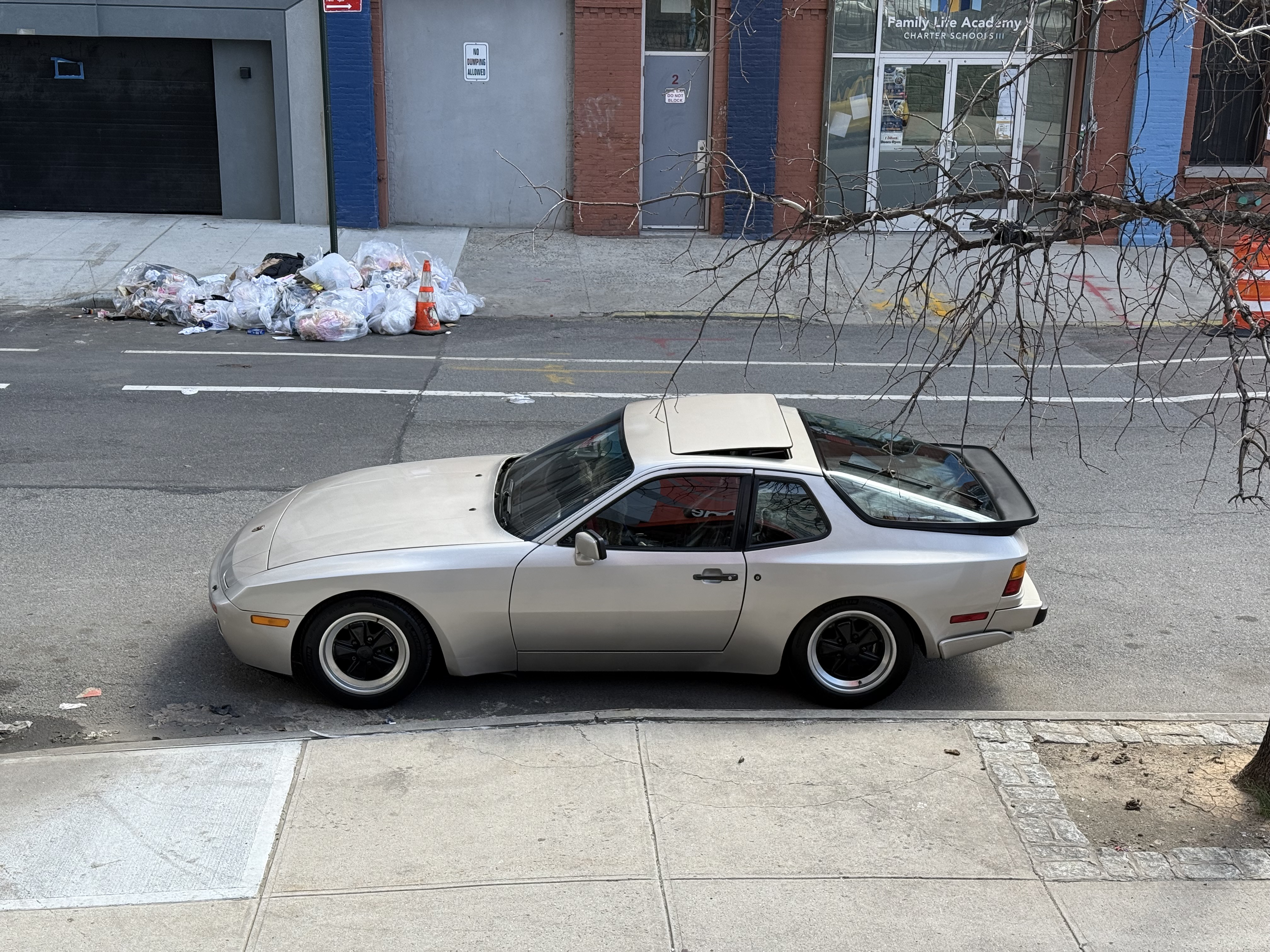IMG_8981.jpeg