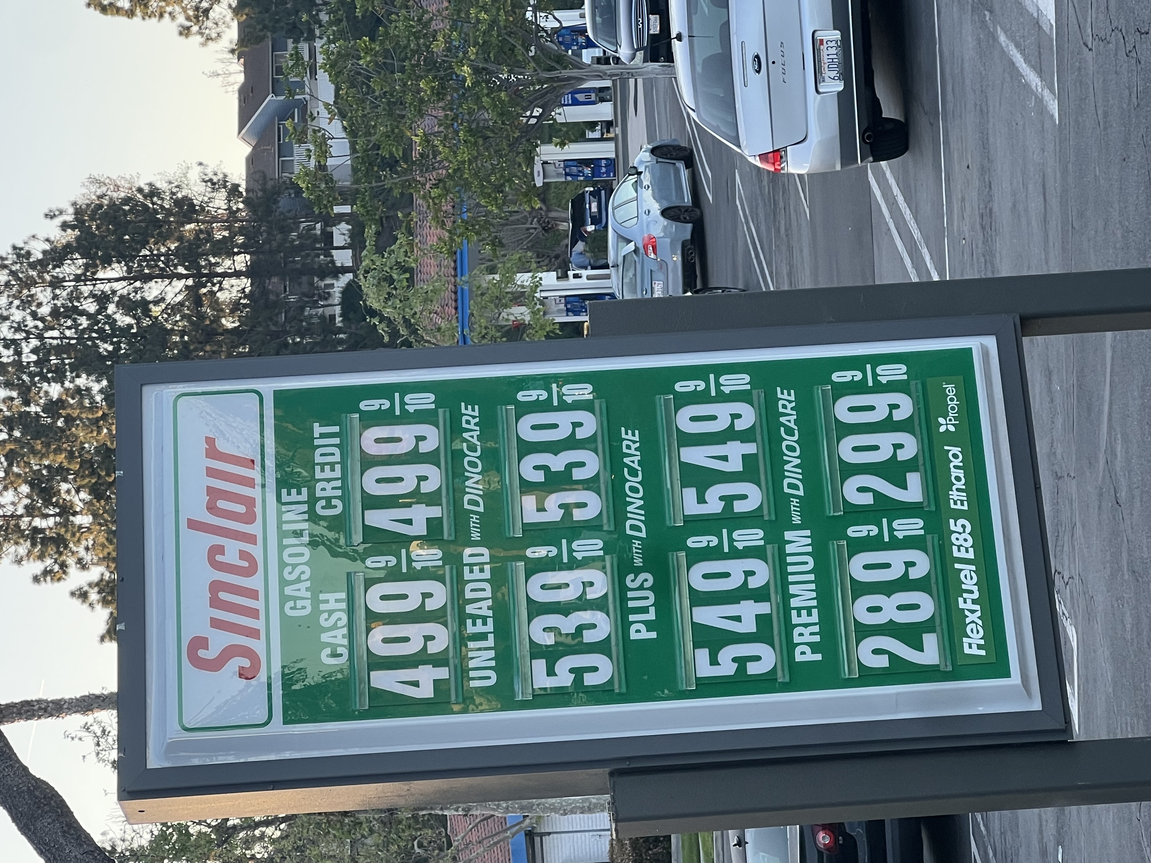 IMG_4477.jpeg