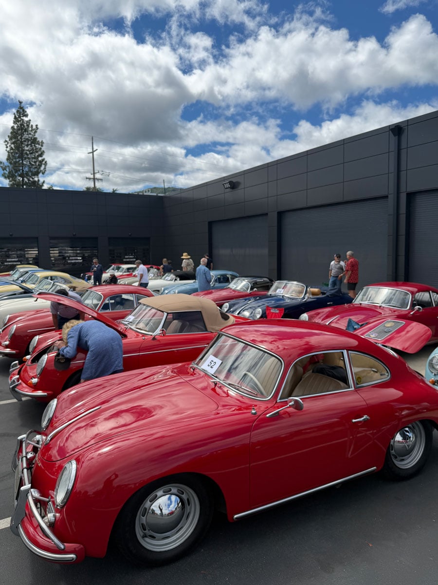 356.jpg