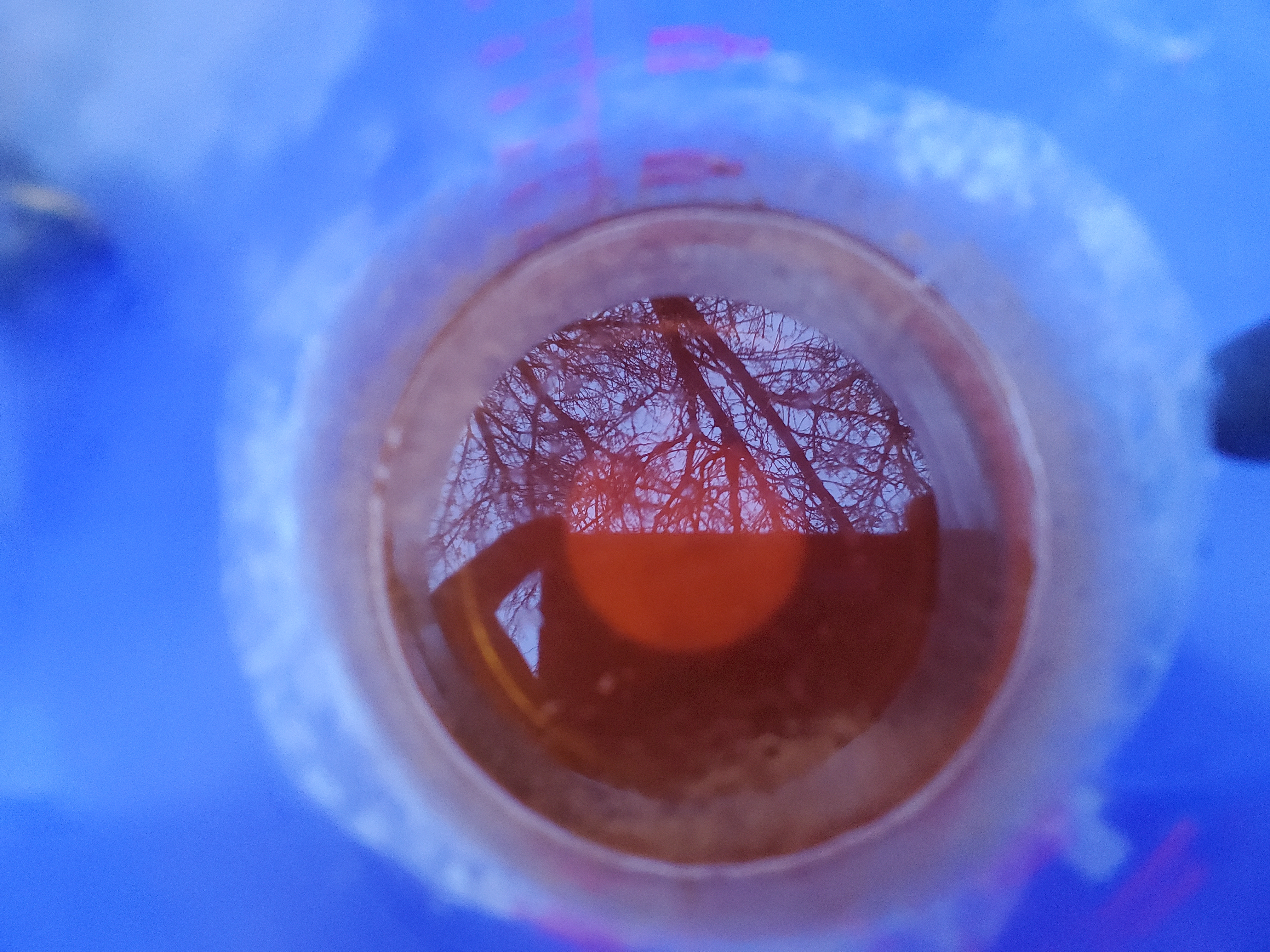 20220322_193527.jpg