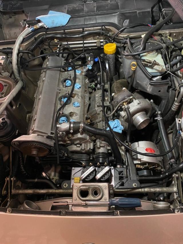harness removed.jpg