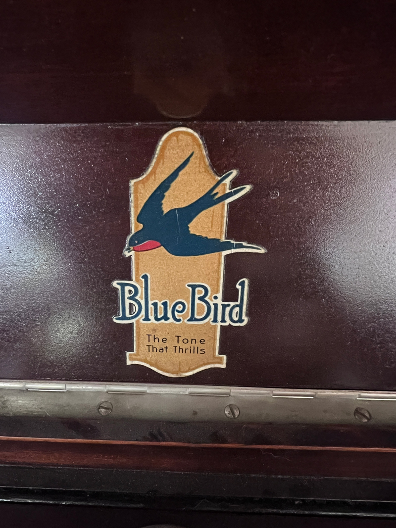 blue-bird-1.jpg