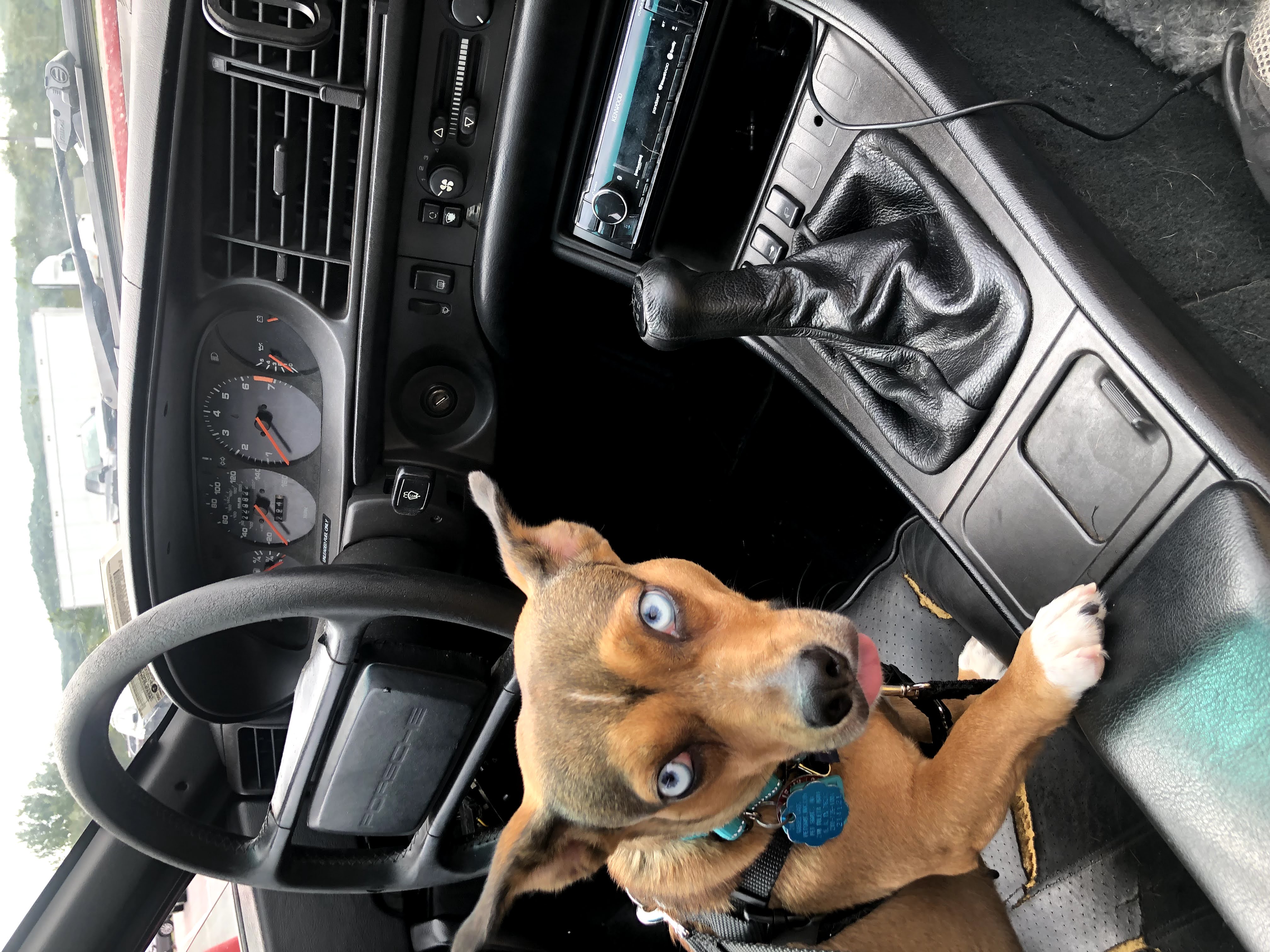 IMG_4620.jpg