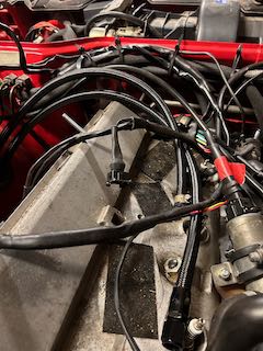 IMG_0679.jpeg