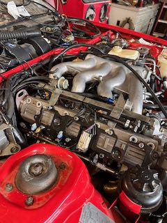 IMG_0698.jpeg